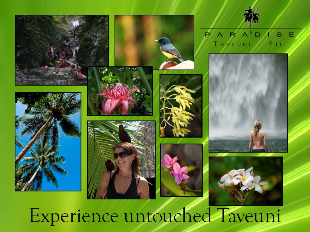 Experience untouched Taveuni